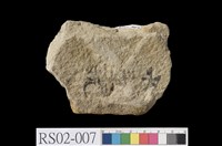 藏品(砂岩)的圖片